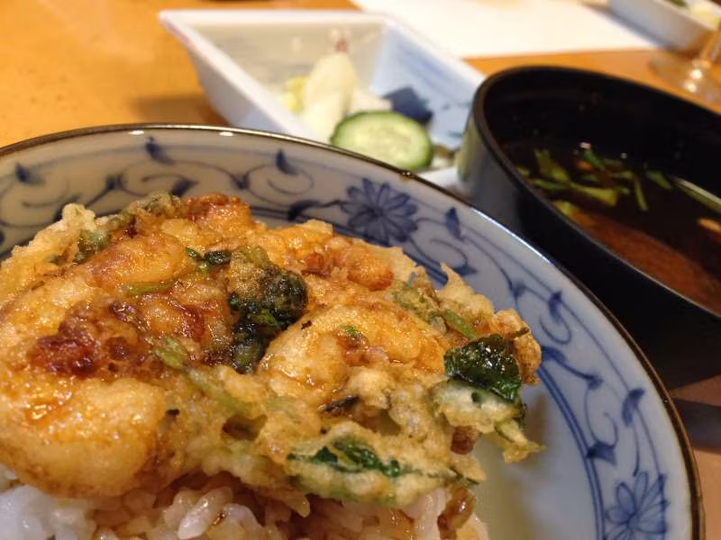 Tokyo Private Tour - Enjoy tempura rice bowl lunch!