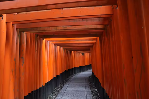 Thousand Torii Gates & Sake: Fushimi Half-Day Tourcover image