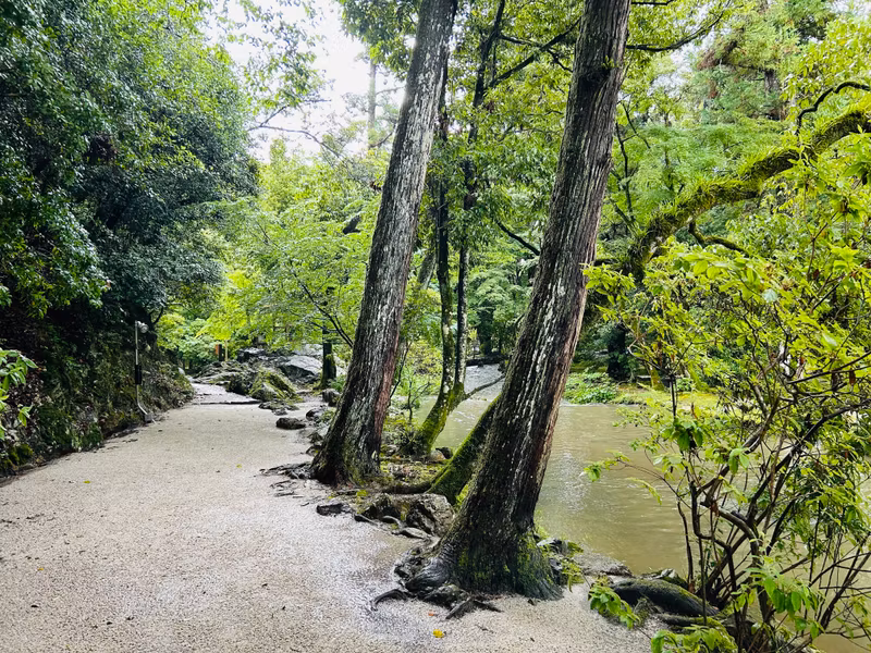 Kyoto Private Tour - Kamigamo Shrine