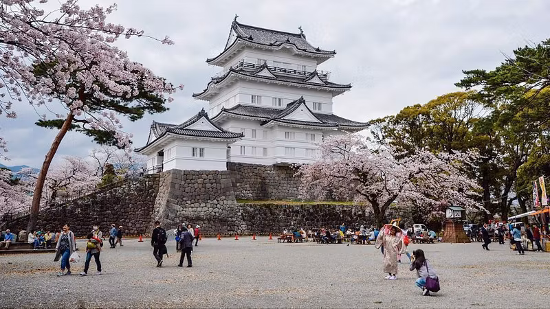 Tokyo Private Tour - Odawara Castle