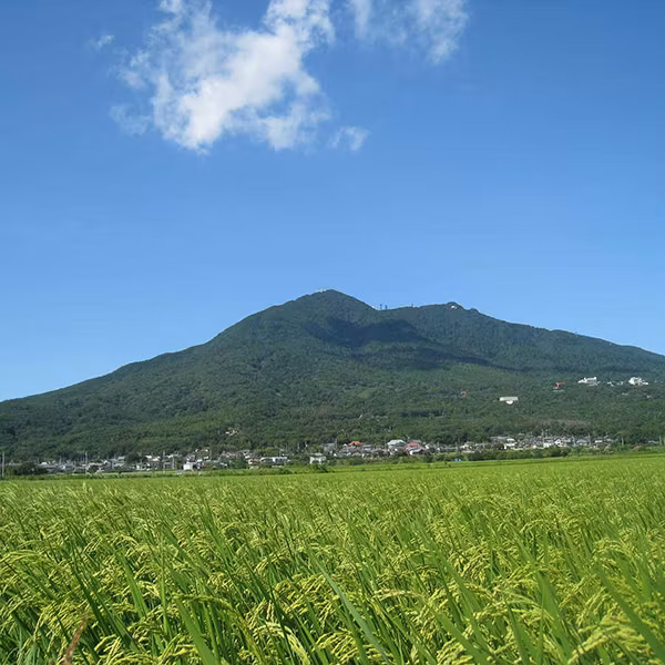 Ibaraki Private Tour - 