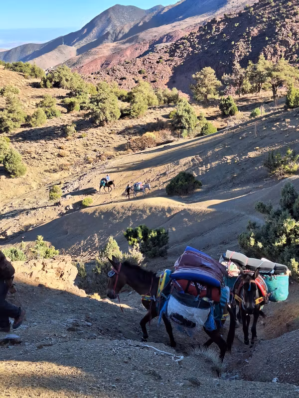 Ouarzazate Private Tour - 