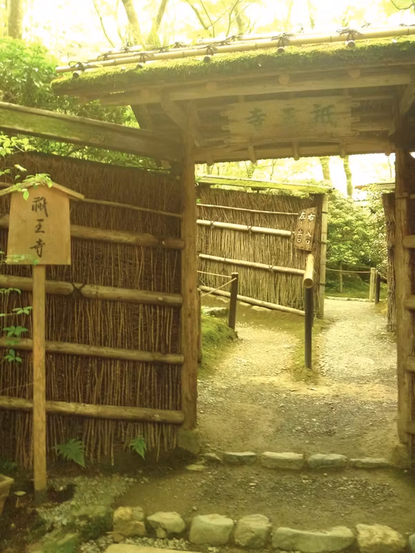 Kyoto Private Tour - main gate of Gioji Temple