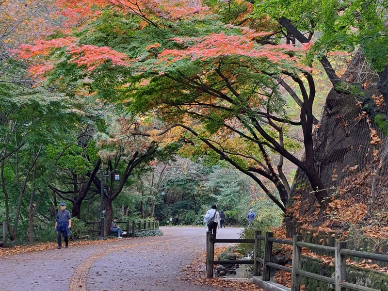 Seoul Private Tour - Namsan Mountain