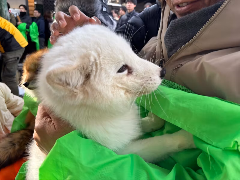 Miyagi Private Tour - Zao Fox Village
