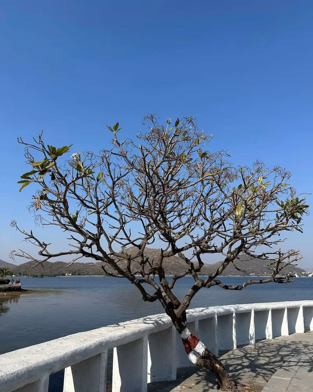 Udaipur Private Tour - 