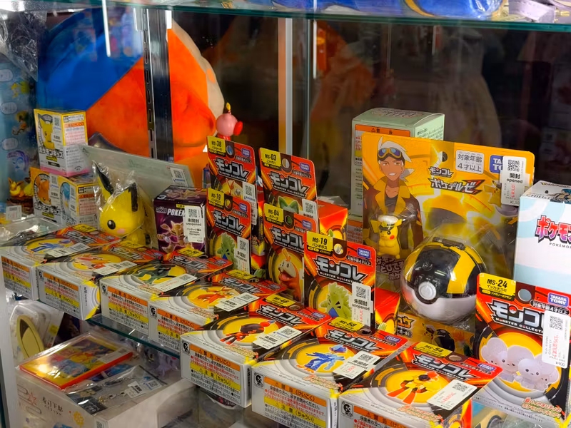 Tokyo Private Tour - An anime fan's dream