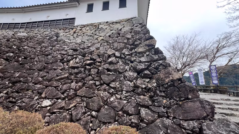 Nagoya Private Tour - 