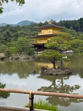 Kochi Golden Tour - 1