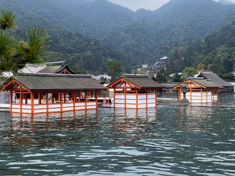 Half-Day in Sacred Island, Miyajimacover image