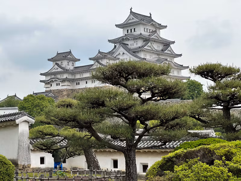 Osaka Private Tour - a view from west bailey(Nishinomaru)