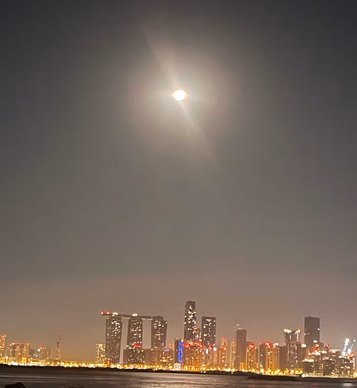 Abu Dhabi Private Tour - Gate towers 