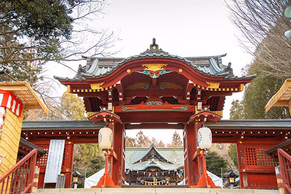 Saitama Private Tour - Chichibu Shrine