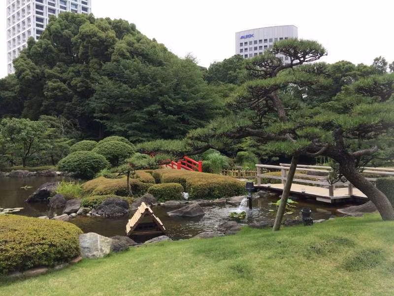 Tokyo Private Tour - Pine tree and a red bridge behind 