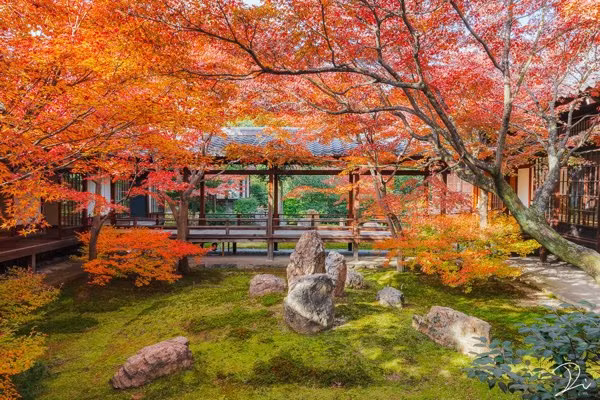 Kyoto Private Tour - 