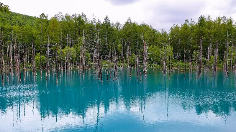 Hokkaido Private Tour - Biei Blue Pond
