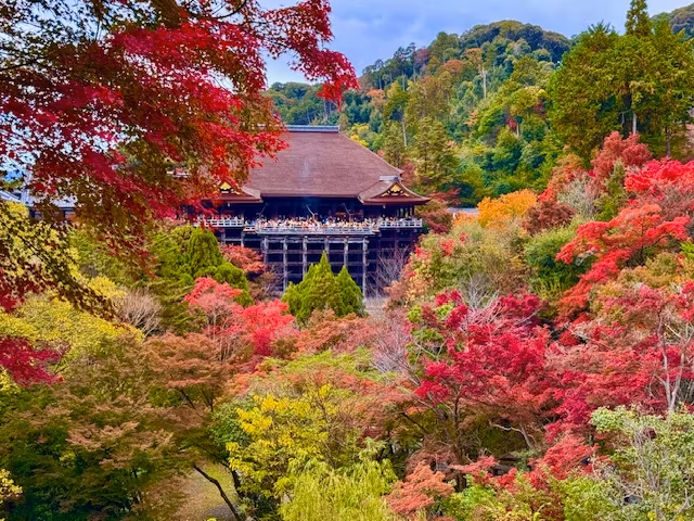 Shiga Private Tour - Kiyomizudera in the fall