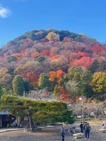 Kyoto Premium Private Tour - Tailored Just for You !!cover image