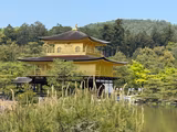 [Kyoto] 6-Hour Tour with a Private Car - by Sedan (4 pax) - 1