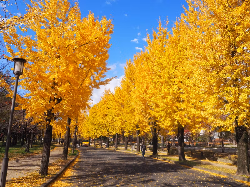 Osaka Private Tour - Osaka Castle Park