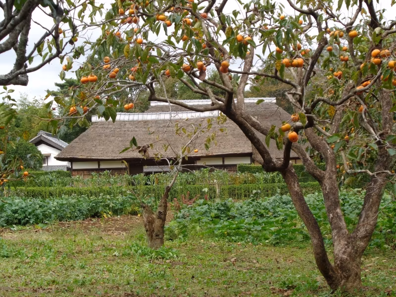 Narita Private Tour - Bauernhaus, Freilichtmuseum "Boso-no-Mura"