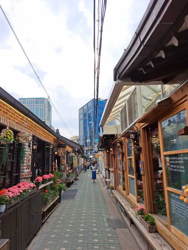 Seoul Private Tour - Ikseon-dong Hanok Street