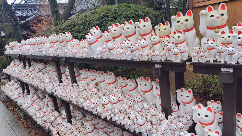 Tokyo Private Tour - Gotokuji Lucky Cat Temple