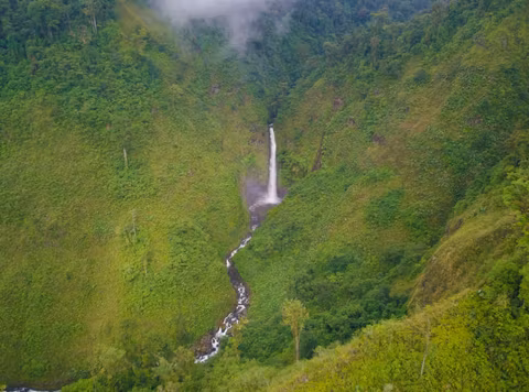 Alajuela Tour Guide