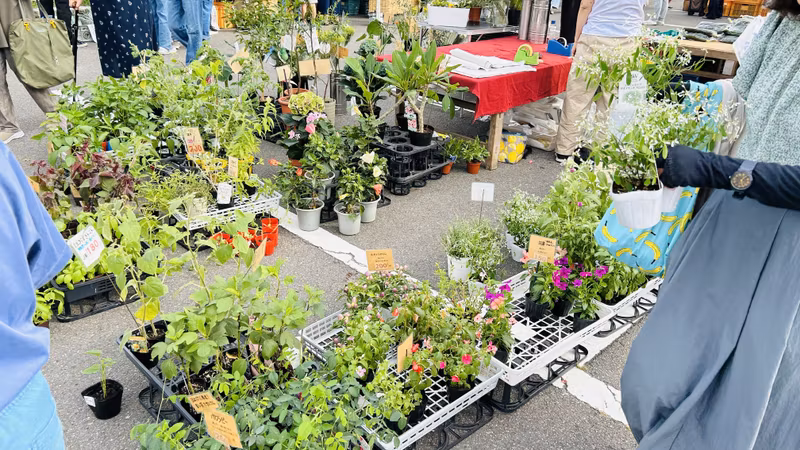 Kyoto Private Tour - at morning market