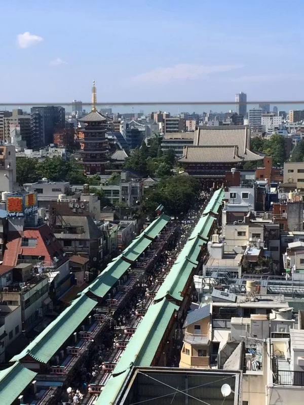 Tokyo Private Tour - Sensoji Temple and Nakamise street