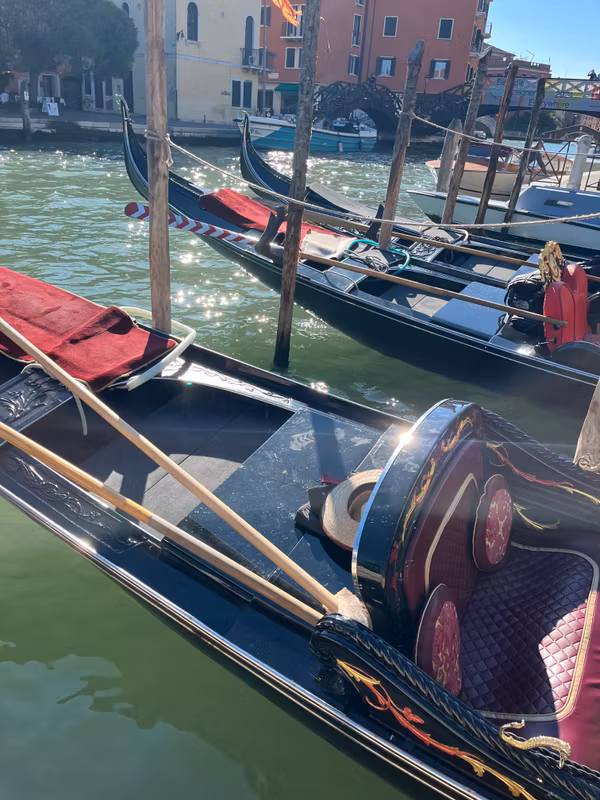 Veneto Private Tour - Venice