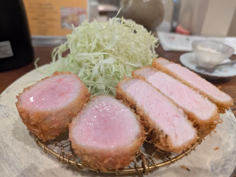Osaka Private Tour - Tonkatsu