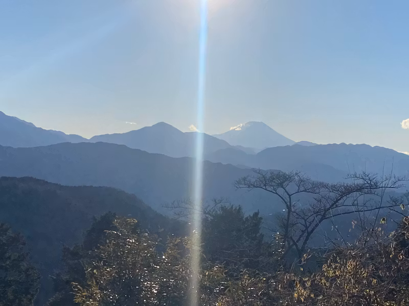 Tokyo Private Tour - A view with Fuji san on a clear day