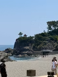 [Kochi] Day Tour with a Private Car - by Sedan (4 pax) - 2