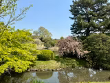 Tokyo tour à la carte - 3