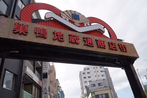 Old Tokyo Treasures: Museum & Sugamo Discovery Tourcover image