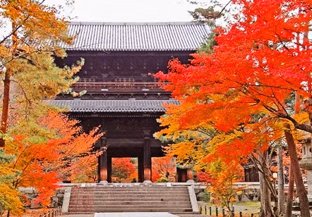 Timeless Kyoto: A journey to explore the wabi-sabi culture of Higashiyamacover image