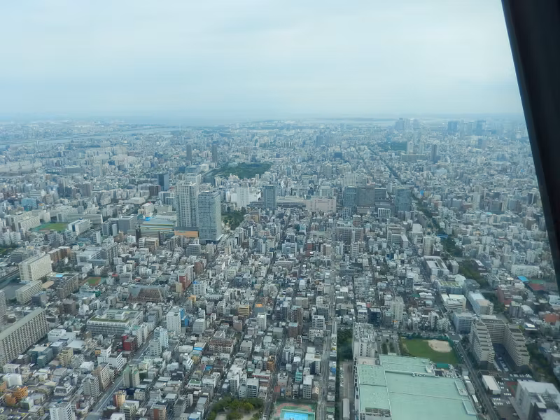 Yokohama Private Tour - A panorama view from Skytree