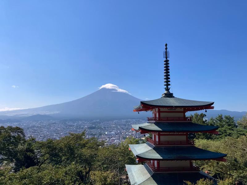 Mount Fuji Private Tour - Scenery of the Chureito Pagoda in early summer