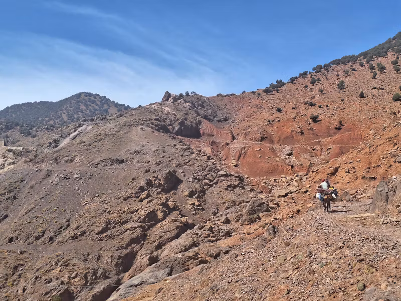Ouarzazate Private Tour - 