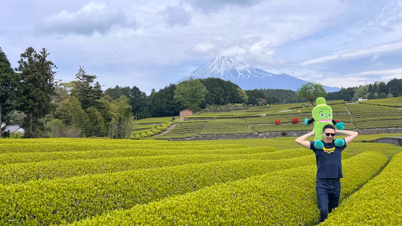 Nagoya Private Tour - Green tea plantation