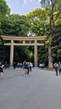 Visite des incontournables de Tokyo - 1