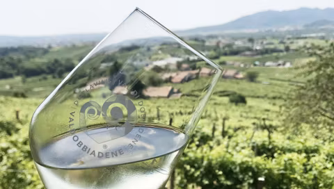 Prosecco Hills Experience with wine guide in Mercedes car or van (up to 7 pax)cover image