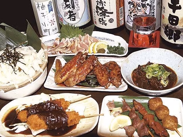 Nagoya Private Tour - 
