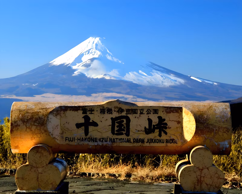 Tokyo Private Tour - 