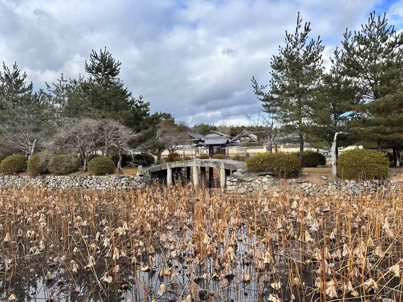 Kyoto Private Tour - autumn in the lotus pond