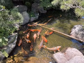 Fukuoka Private Tour - Japanese Garden
