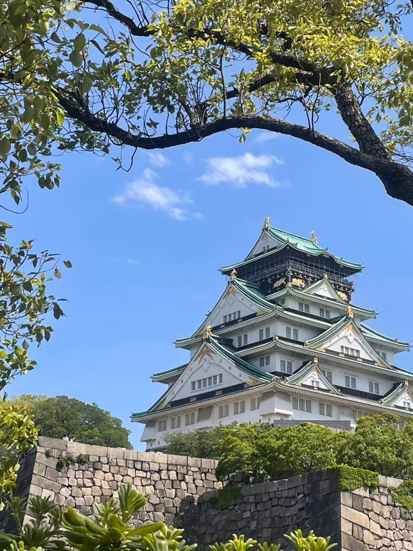 Osaka Private Tour - 