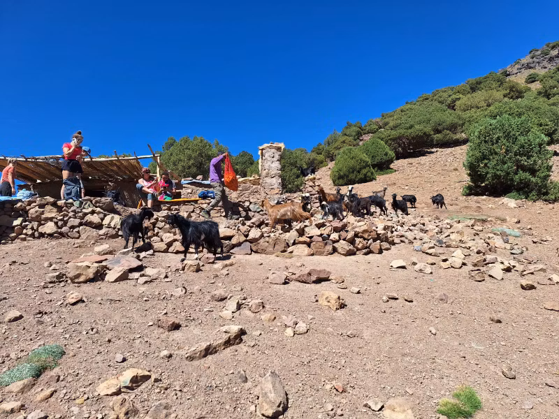 Ouarzazate Private Tour - 