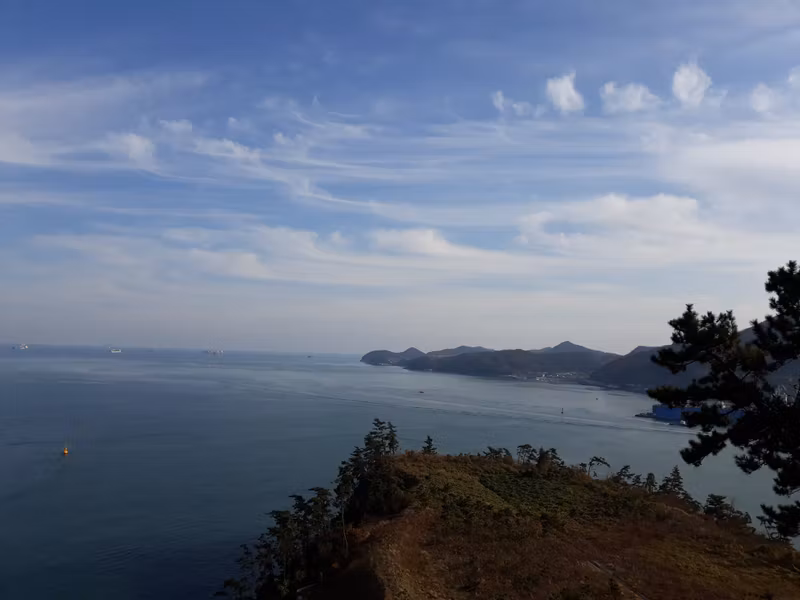 South Jeolla Private Tour - Odongdo